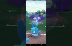 スーパーリーグ【ポケモンGO】エクスレッグ、マリルリ、グライガー