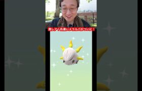 激レア色違いメラルバがついに爆誕！！！【ポケモンGO】 #ポケモン #ポケモンgo #pokemongo #pokemon #shiny #larvesta #色違い #メラルバ #激レア