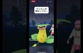 ポケモンGOスーパーリーグ対戦マリルリが刺さってたのか？最後のポケモンわかる人いたら教えて！#目指せ100万回再生 #おすすめに乗りたい #バズれ