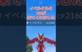 【ポケモンGO】イベルタルの100が来てくれました！#shorts #pokemongo