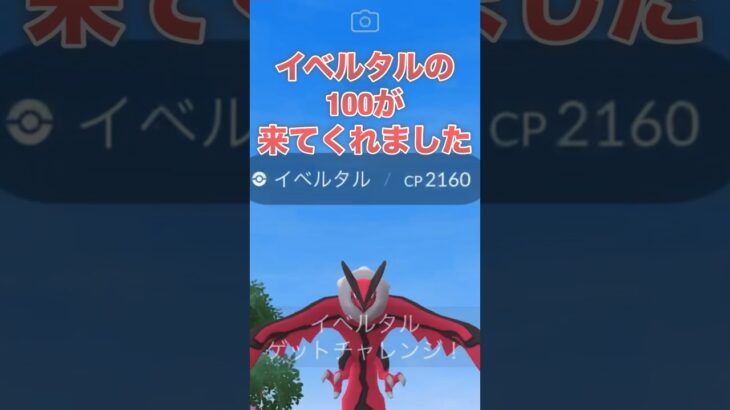 【ポケモンGO】イベルタルの100が来てくれました！#shorts #pokemongo