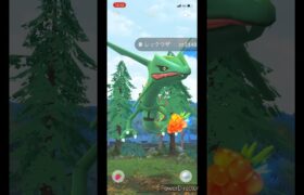 【ポケモンGO】メガレックウザ　11人討伐