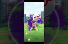 【ポケモンGO】シャドウライコウのレイド最速捕獲！？😳【20240615 PokemonGo ShadowRaikou】