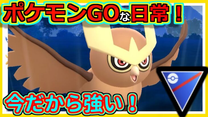 【ポケモンGOな日常】ガッツリ受けれる環境だから！！サマーカップ編【ポケモンGO】