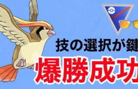 サマーカップで爆勝ち！ピジョットが強すぎました！！【ポケモンGO】【GOバトルリーグ】