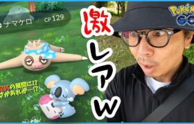 【ポケモンGO】「甘めの設定」の真実を暴け！色違いバイザーナマケロ＆ネッコアラを捕獲せよ！グレープ味といちご味を狙ってRPG系男子が魅せまSHOW！【初夏のまどろみ】