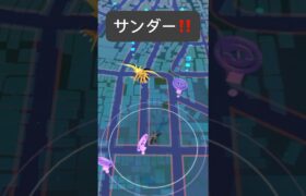 【ポケモンGO】サンダーが現れた!!【✨Zapdos Pokémon GO X Pokemon Card Artwalk✨】