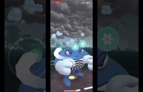 【ポケモンGO】スーパーリーグ#ポケモンgo #gbl #スーパーリーグ