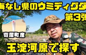 【ポケモンGO】海なし県埼玉の寄居町産ウミディグダをゲットせよ！in 玉淀河原