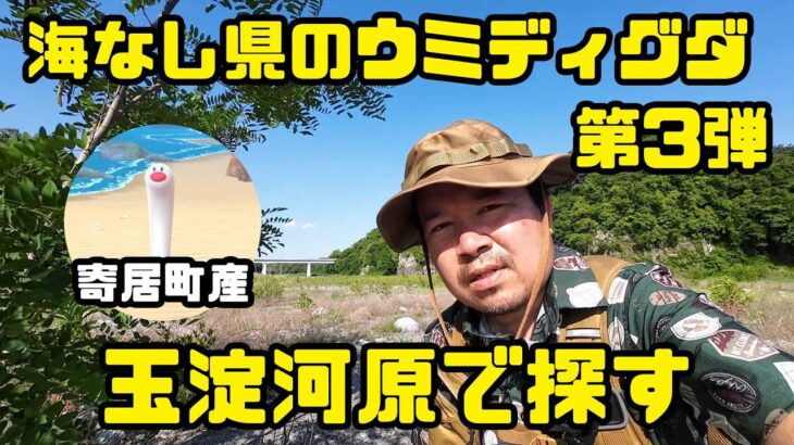 【ポケモンGO】海なし県埼玉の寄居町産ウミディグダをゲットせよ！in 玉淀河原