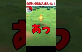 【ポケモンGO】アチャモの色違い捕まえたゾ　＃shorts