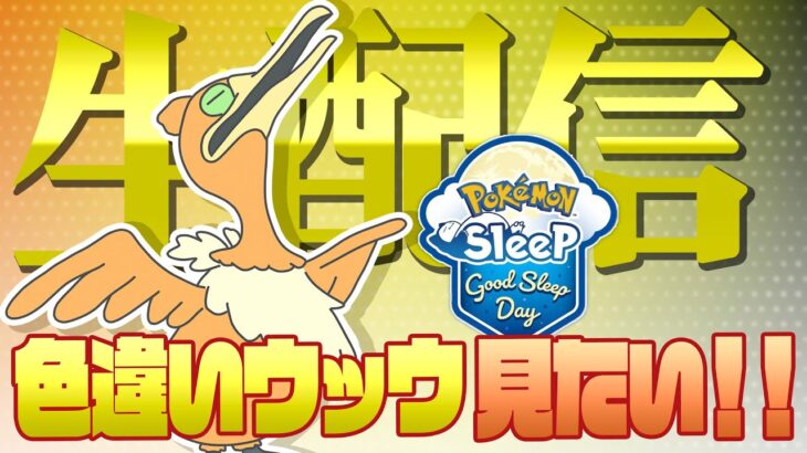 【ポケモンスリープ生配信】GSD×サマーフェスで色違いのウッウを確定ゲット！！（したい）