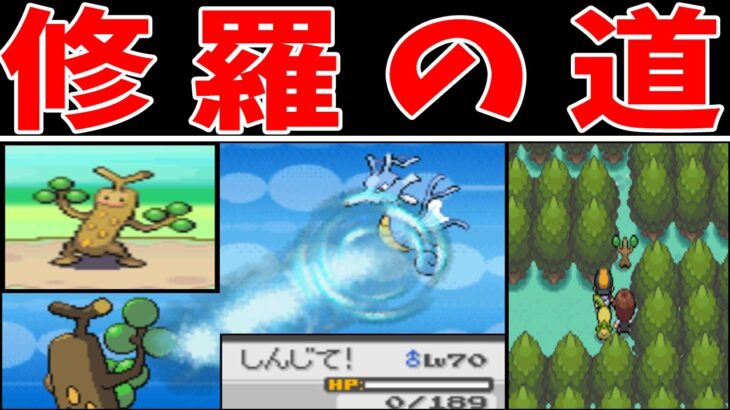 ウソッキー（固定シンボル）って１匹でジム攻略できるの？【ゆっくり実況】【ポケモンHGSS】