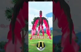 【PokémonGO】チャンス到来!! どうなる!!?【ブルックGO】 #shorts #ポケモンgo #pokemongo #ブルックGO