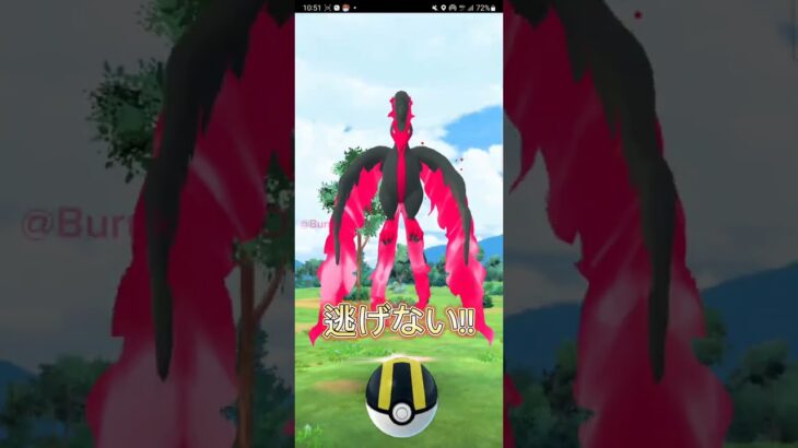 【PokémonGO】チャンス到来!! どうなる!!?【ブルックGO】 #shorts #ポケモンgo #pokemongo #ブルックGO