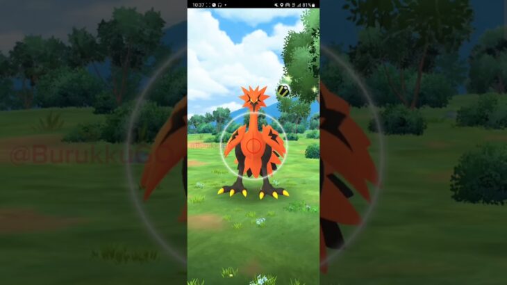 【PokémonGO】絶望的CP・・・・　だが!!?【ブルックGO】 #shorts #ポケモンgo #pokemongo #ブルックGO