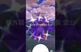 抓到色違暗影雷公 ライコウ Raikou #pokemongo #ポケモンgo #shadowraikou