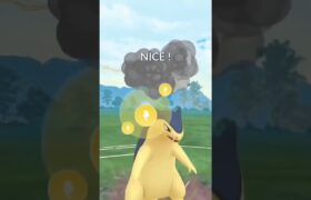 SL対戦　ハクリュー、ピクシー、バクフーン　#ポケモンGO　#Shorts