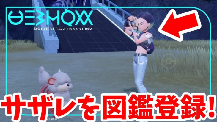 【ポケモンSV】新種ポケモンが作れる？サザレを図鑑登録する方法！？【ポケモンスカーレットバイオレット・ゼロの秘宝】