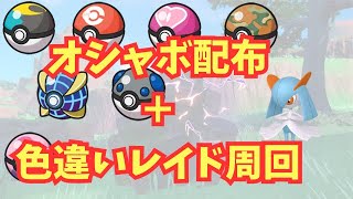 【自由参加可能！】オシャボ配布＋色違いレイド【ポケモンSV】