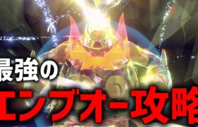 【攻略】最強のエンブオー最適解探すぞ！！【ポケモンSV】