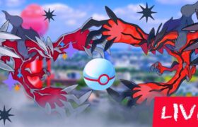 Yveltal & Mega Raids invite Pokemon Go Live 🔴