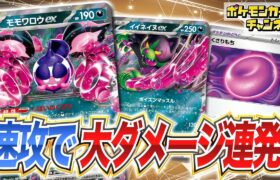 【ポケカ対戦】お手軽に大ダメージ連発！イイネイヌexが止まらない！？【ナイトワンダラー/ポケモンカード】