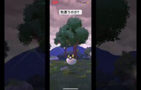 色違いに遭遇!#ポケモンgo