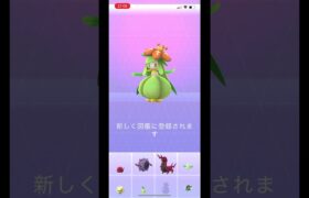 ポケモンgo 野生のドレディアゲットチャレンジ　レアい！　#pokemongo