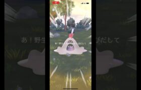 ポケモンgo 最大サイズスナバァゲットチャレンジ　#pokemongo #xxl