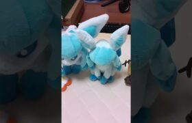 うちのかわいいポケモンのぬいぐるみたちを紹介！#ポケモン #ポケットモンスター #pokemon #shorts