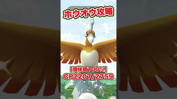 ホウオウゲッチャレ攻略 #pokémongo #ポケモン #gofest #gofest2024 #ポケモンgo #pokemongo