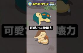 色違いの双子ヒノアラシが可愛いすぎる件【ポケモンスリープ】#ポケスリクリップ #shorts