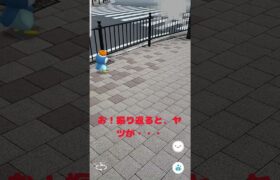 【ポケモンかくれんぼ】ポケモンど～こだ？ #shorts  #ポケモンgo