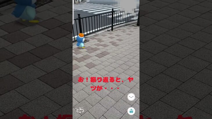 【ポケモンかくれんぼ】ポケモンど～こだ？ #shorts  #ポケモンgo