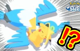 【悲報】ウッウ、やっぱりやらかす・・・。【ポケモンスリープ】