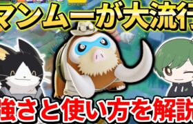 上位帯で大流行！？評価爆上げポケモン「マンムー」について日本代表が解説してます！【ポケモンユナイト】