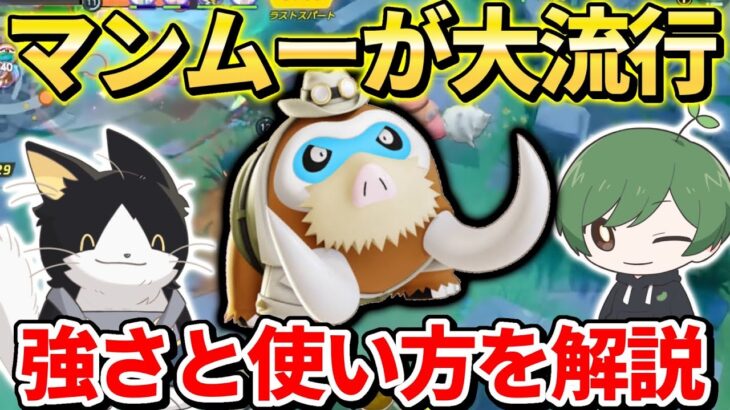 上位帯で大流行！？評価爆上げポケモン「マンムー」について日本代表が解説してます！【ポケモンユナイト】