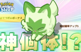 【ポケモンスリープ】1匹目のニャオハ、にゃんじゃこりゃぁぁ！？！？