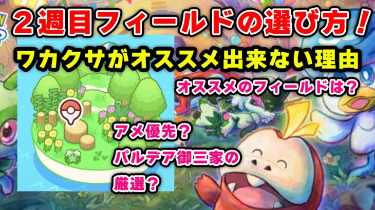 【ポケモンスリープ】1周年記念キャンペーン！2週目フィールドの選び方！！