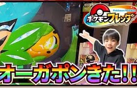 【オーガポンじゃん！】めちゃめちゃ可愛い！！お願い！ゲットさせて！！【ポケモンフレンダ1弾】コーキtv