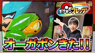 【オーガポンじゃん！】めちゃめちゃ可愛い！！お願い！ゲットさせて！！【ポケモンフレンダ1弾】コーキtv