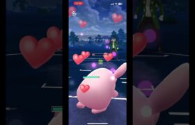 デンジムシに2枚貼らせるシビルドン！ #gbl #ポケモンgo #ポケモン #shorts