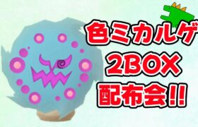 【参加型】色違いミカルゲ2BOX配布！【ポケモンSV】　#shorts