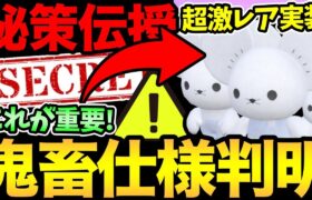 〇〇と〇〇は絶対お忘れなく！超激レアが実装！イッカネズミ…えぐいぞ！激レア入手の重要ポイントとは！？ここぺりは果たして3匹家族に…【 ポケモンGO 】【 GOバトルリーグ 】【 GBL 】