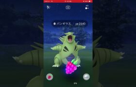 ポケモン捕獲戦　パート316 ポケモンgo バンギラス　#pokemon