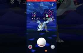 ゲットの瞬間　パート899 ポケモンgo キュレム　#pokemon