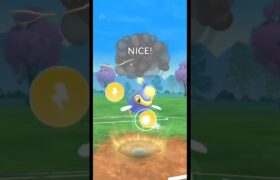 Annihilape Hunting with Wigglytuff in Great League | Pokémon Go! #pokemongo #ポケモンGo #pokemongogbl