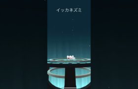 【ポケモンGO】 ワッカネズミ（イッカネズミ） 進化動画！！