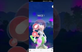 ポケモンGO マスターリーグ ネクロズマ(たそがれのたてがみ)、ミュウツー、コピーリザードン